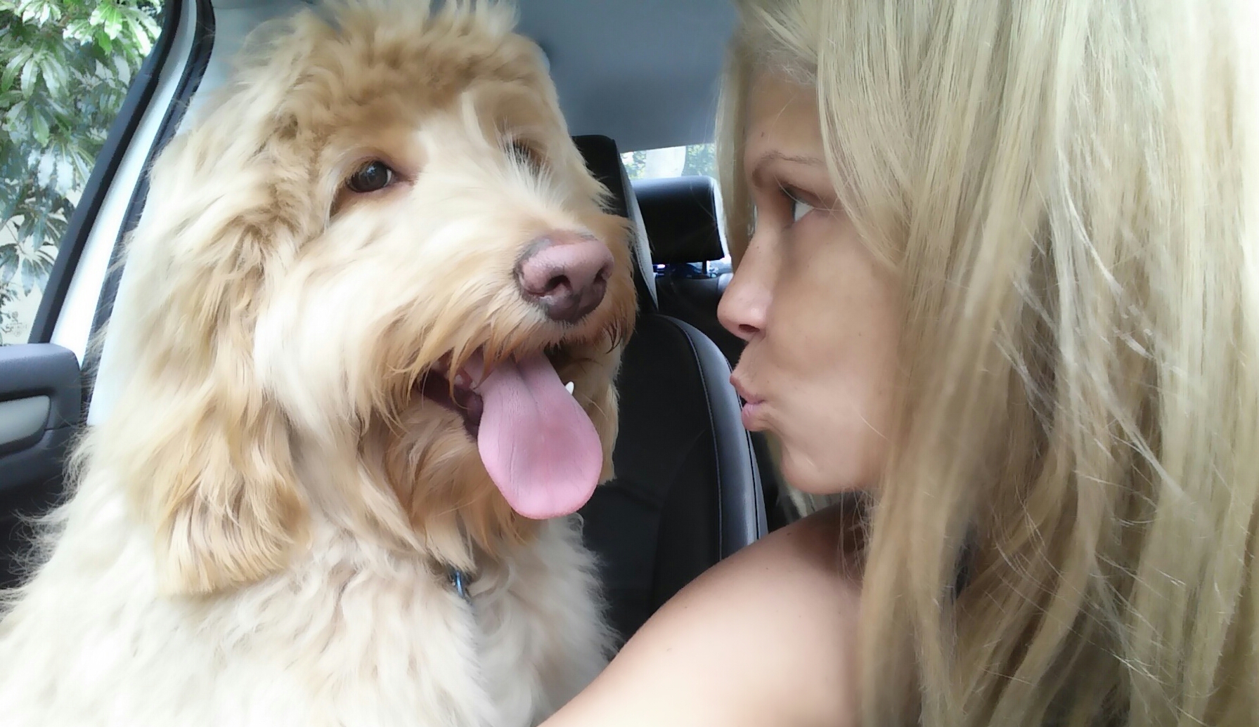 image From the Lips of Lynne