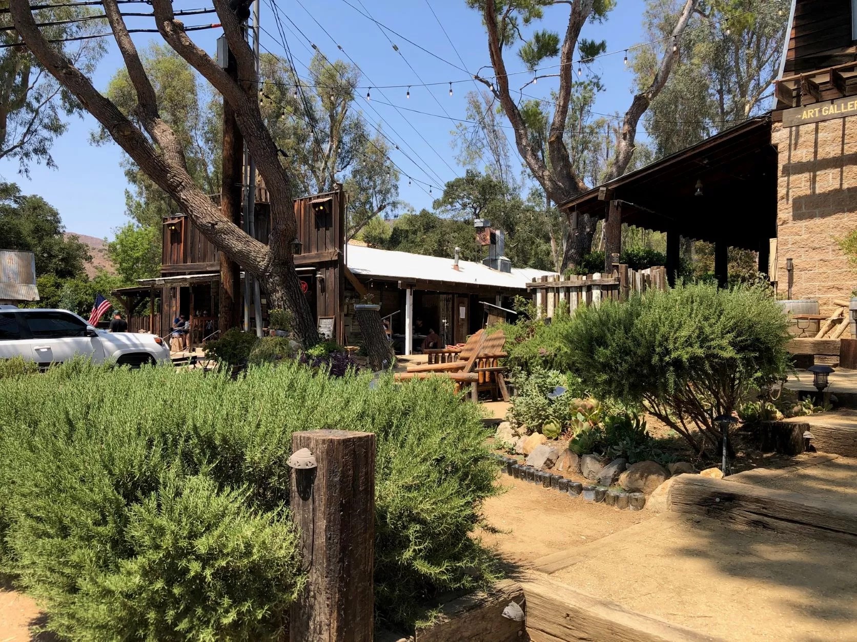 Field Trip Cornell Winery From the Vine to Wine