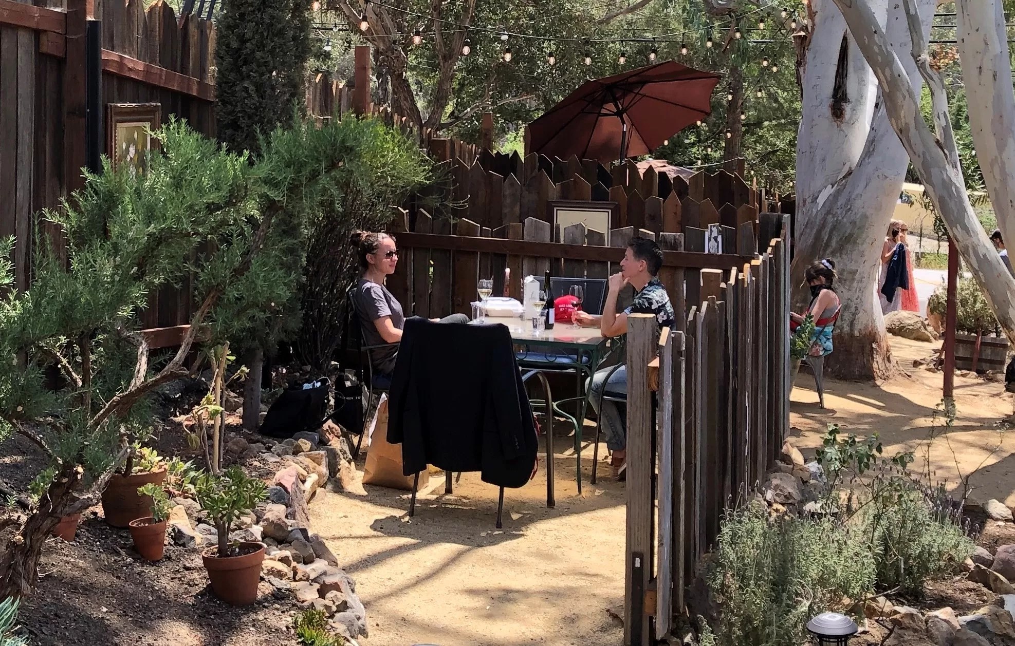 Field Trip Cornell Winery From the Vine to Wine