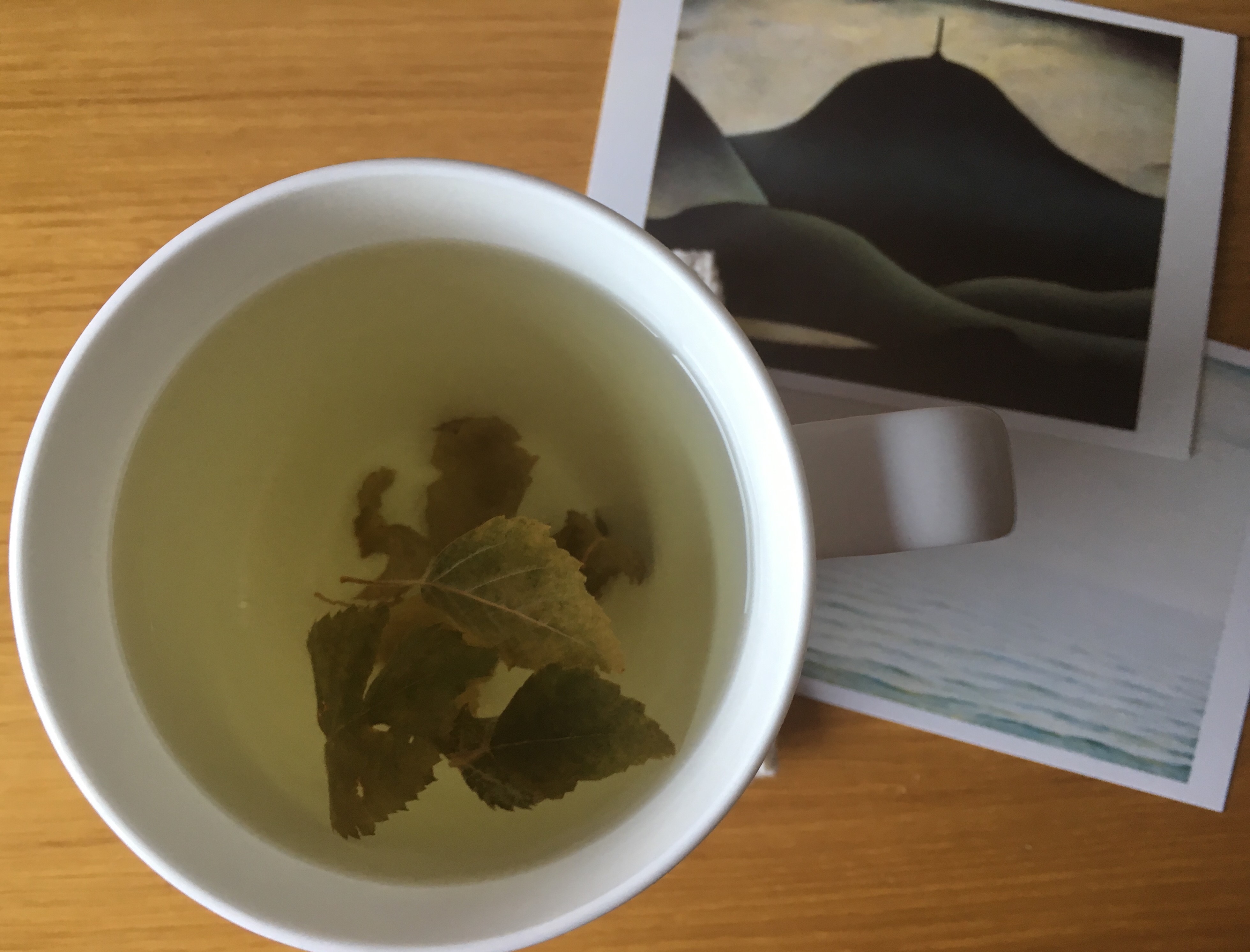 the lady of the woods notes from the wayside