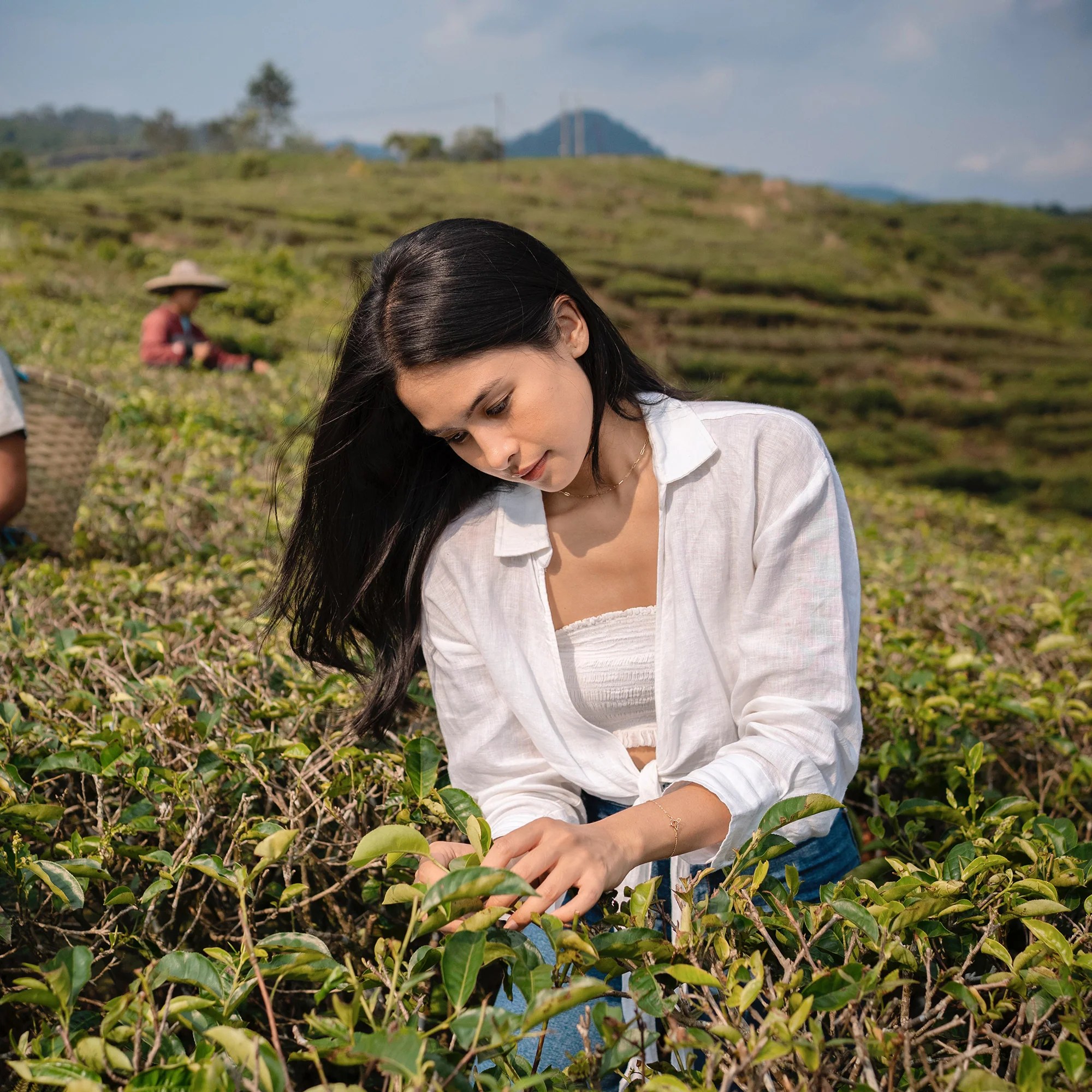 Java Black Tea Soothing Gel Cleanser From This Island