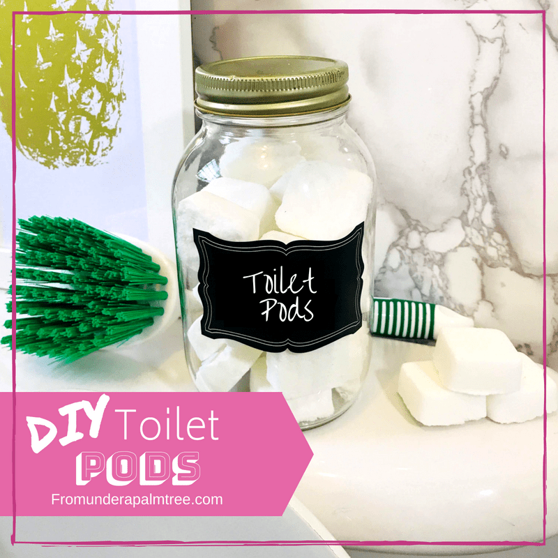 DIY Toilet Cleaning Pods > From Under a Palm Tree