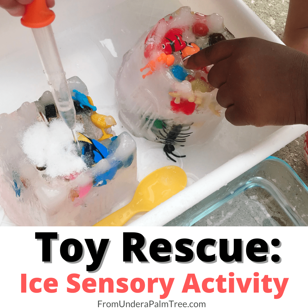 Toy Rescue Ice Sensory Activity > From Under a Palm Tree