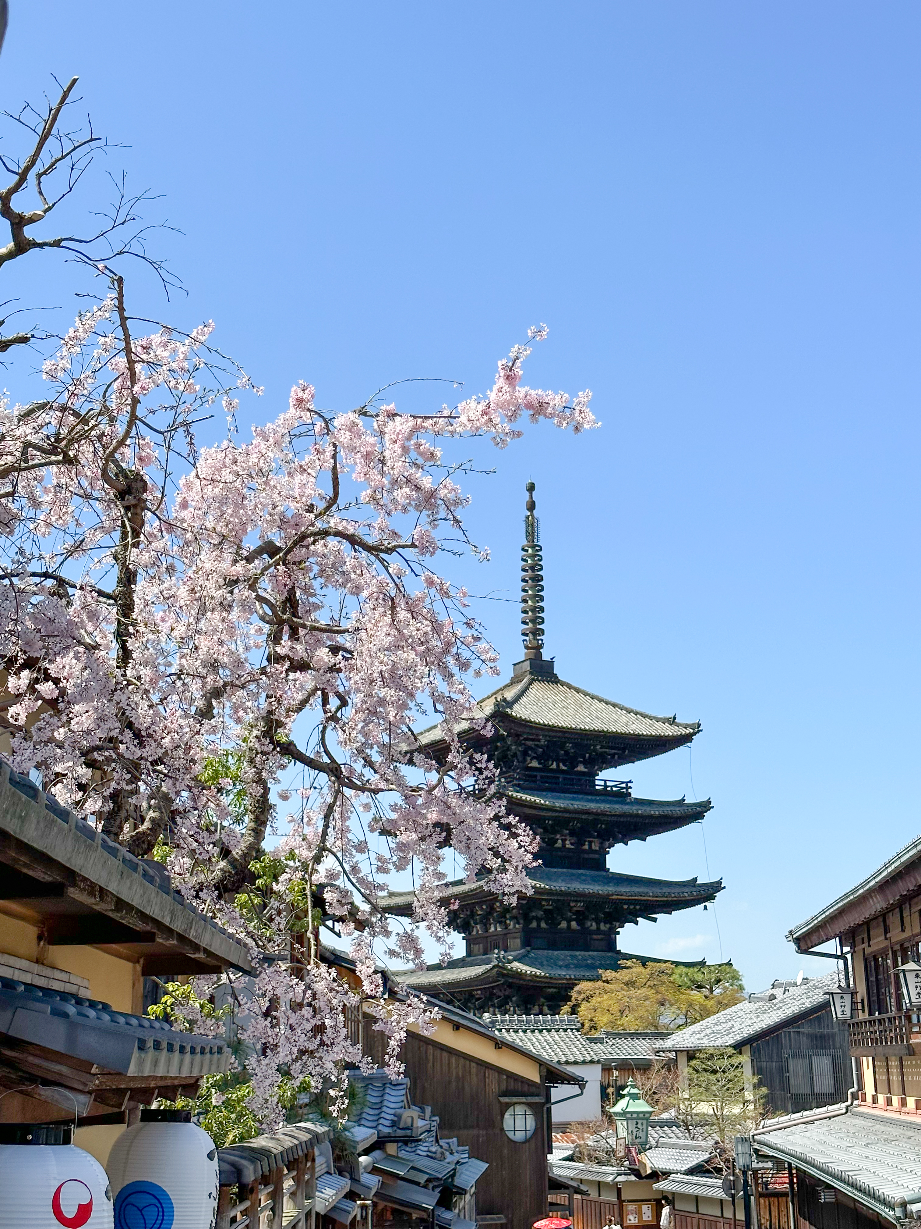 pagoda located at Hokanji Temple