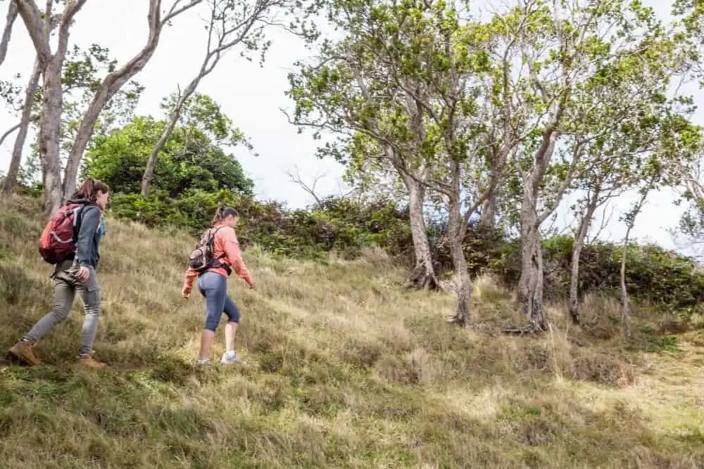 Do I Need Hiking Boots for Hawaii? Your Complete Guide From Your Trails