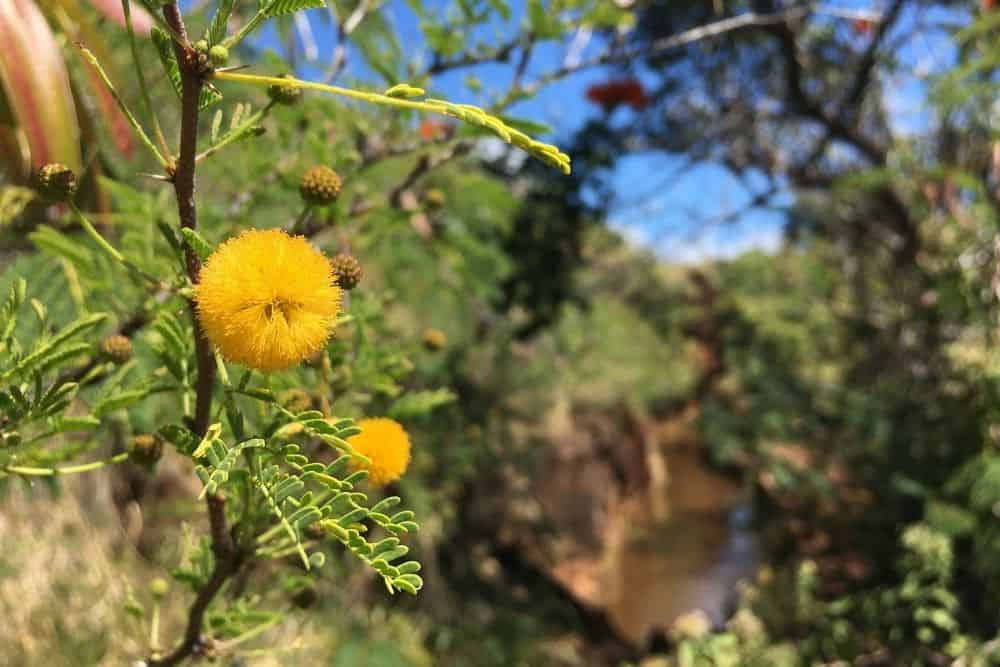 Do I Need Hiking Boots for Hawaii? Your Complete Guide From Your Trails