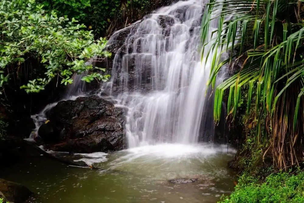 Do I Need Hiking Boots for Hawaii? Your Complete Guide From Your Trails