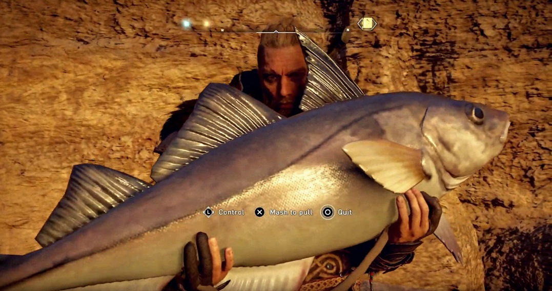 Assassin's Creed (AC) Valhalla Fish Spawn Bug Is there a fix