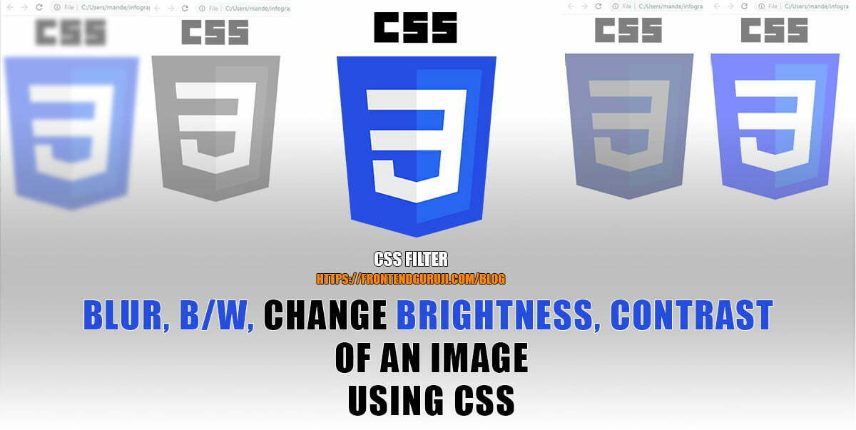 Blur Image using CSS & Filters to make image Grayscale, change
