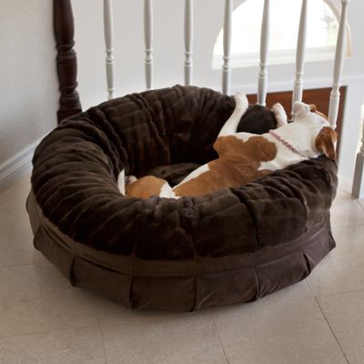 Animals Matter® Daisy Puff™ Pet Bed Frontgate