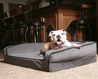 BuddyRest Crown Supreme Orthopedic Pet Bed Frontgate