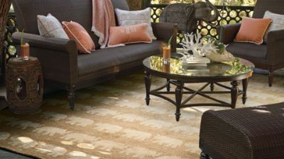 Parade Outdoor Area Rug Frontgate