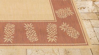 Oasis Retreat Outdoor Rug in Natural Terra Cotta Frontgate