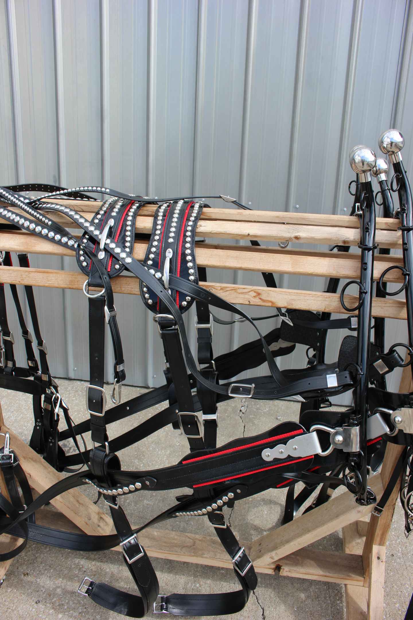Draft Horse biothane team show harness DECO Frontier EquestrianDraft