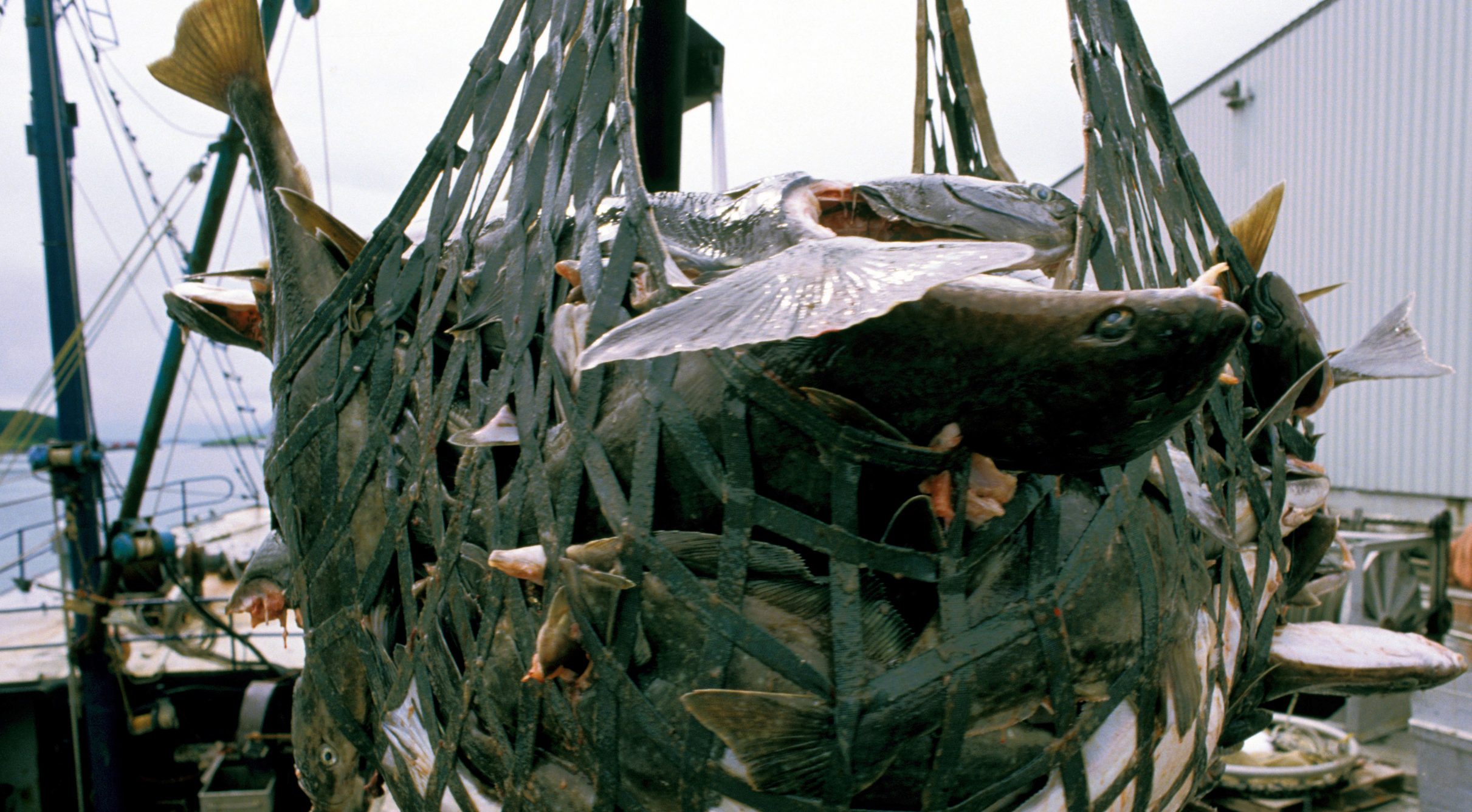 Aquasafe Waxed Alternatives Corrugated Boxes Frontier Packaging