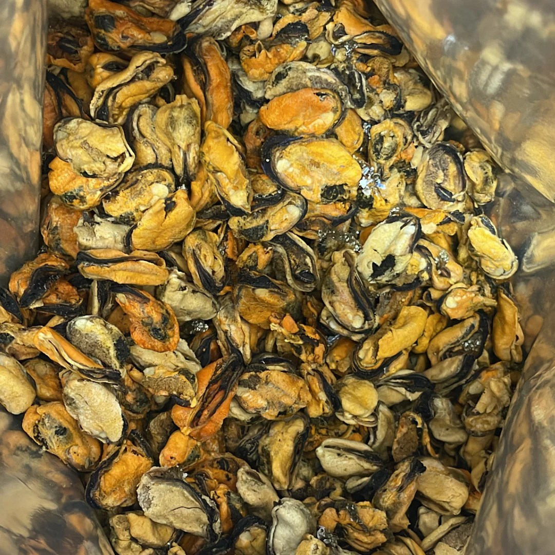 Greenlipped mussel for dogs Uncover the Surprising Health Benefits!