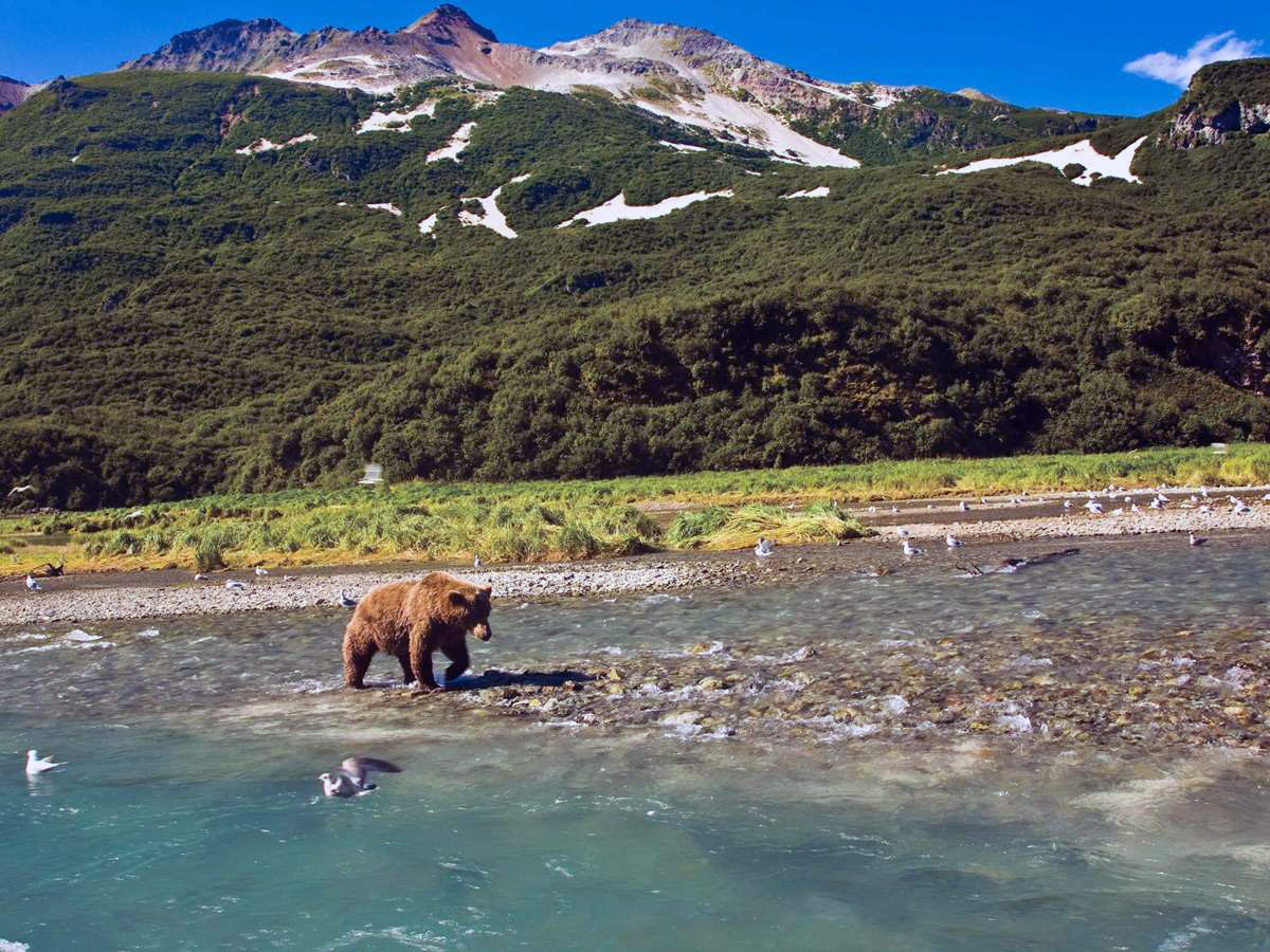 Main Reasons to Make Juneau Your Summer Vacation Destination