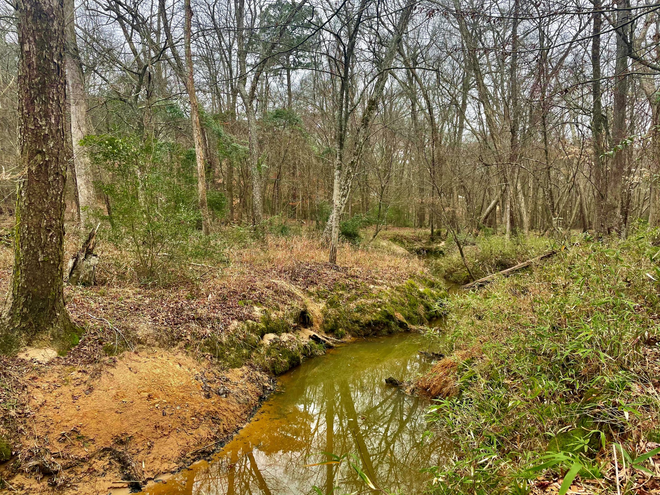 6.5 Acres Near Longview, TX Frontland Properties