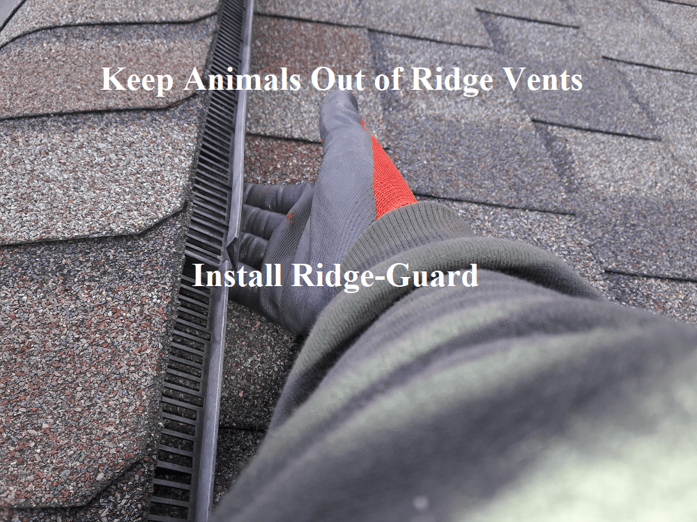 RidgeGuard for Ridge Vents Review of a Great Product