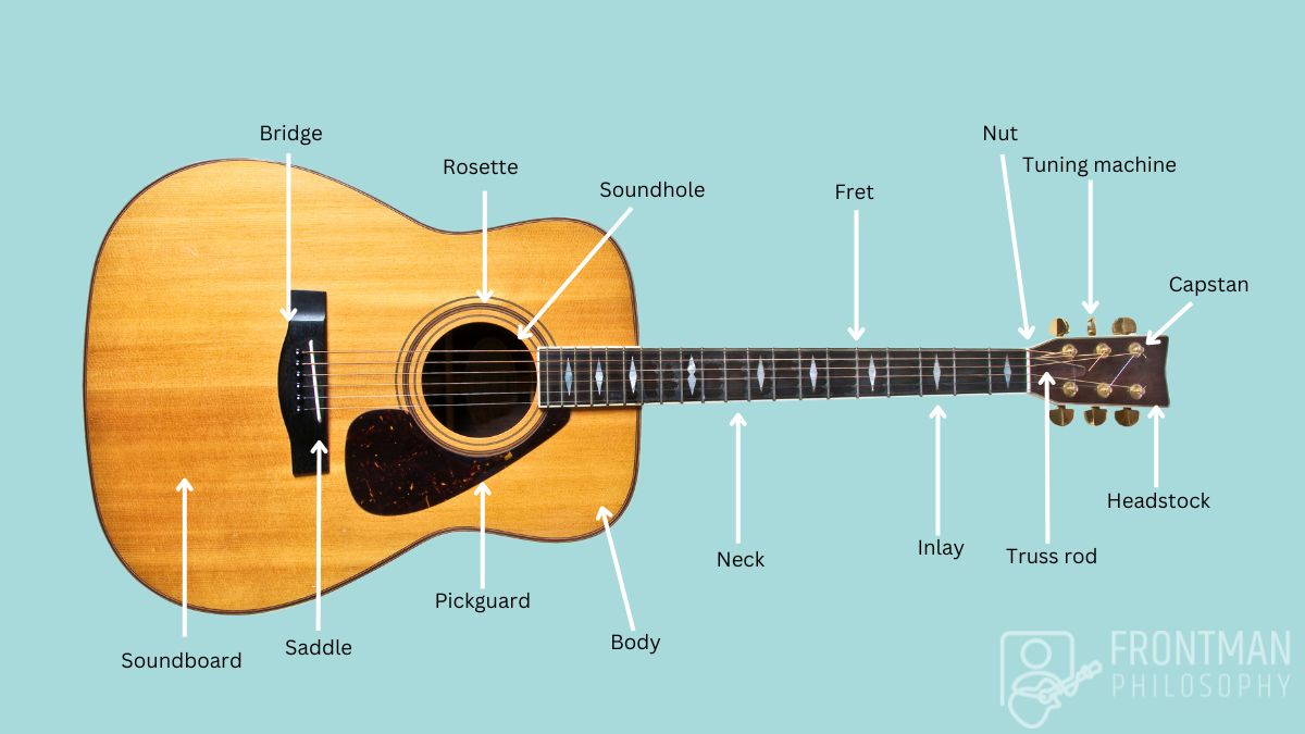 Parts of an Acoustic Guitar (Explained and Labeled) Frontman Philosophy