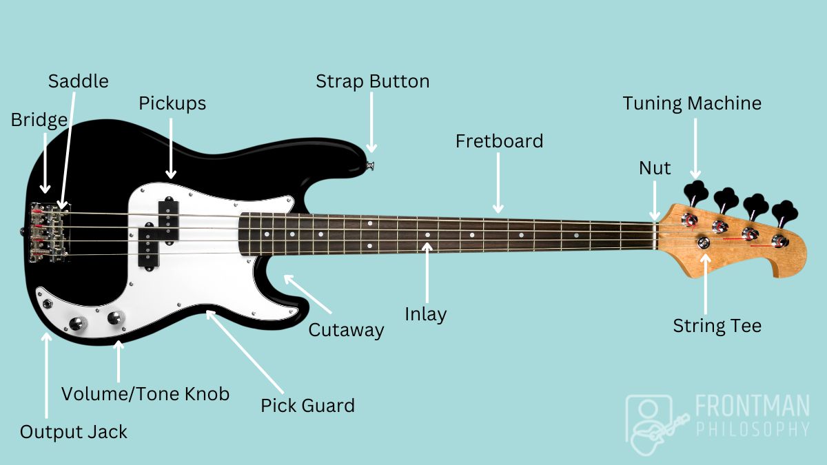 Parts of a Bass Guitar Explained and Labeled Frontman Philosophy