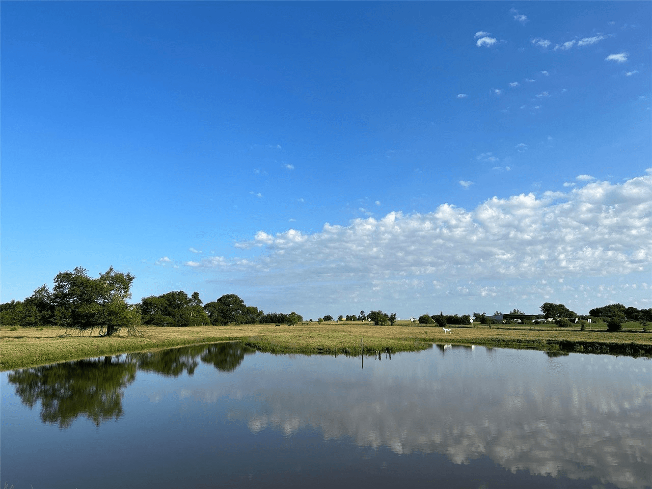 Beautiful 39 Acres with Ponds For Sale in Scenic Southern Hopkins