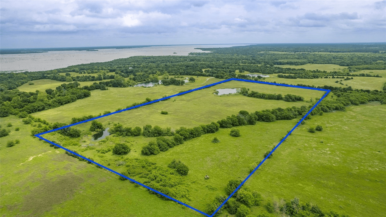 Scenic 36 Acres Goes for Sale near Cooper Lake Front Porch News Texas