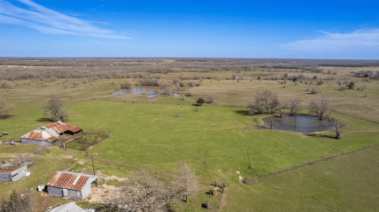 Hunt County 166 Acres Provides Hunting, Pastures, & Ponds for Ranch