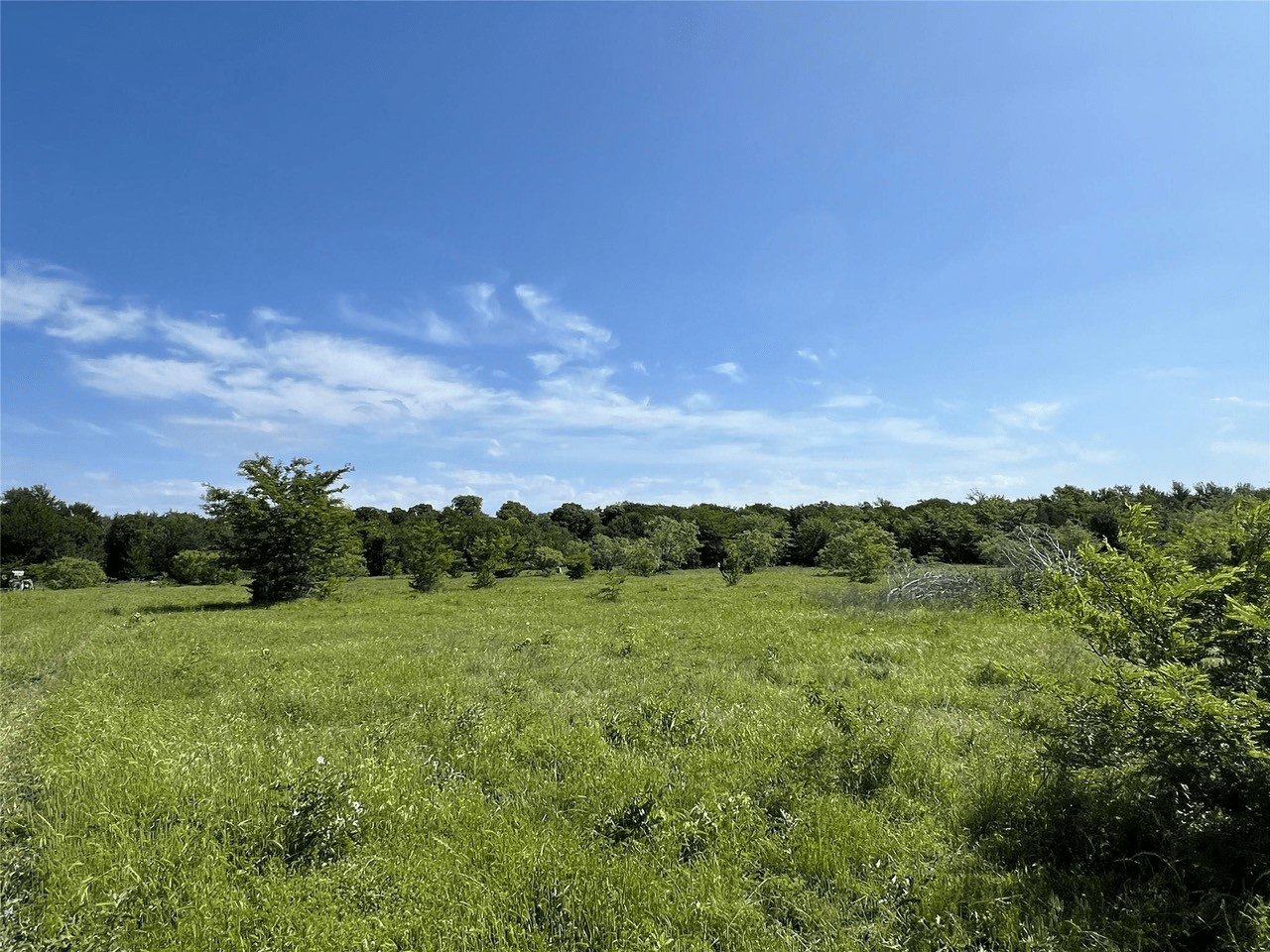 AGExempt 60 Acres with Pond South of Greenville is Now For Sale