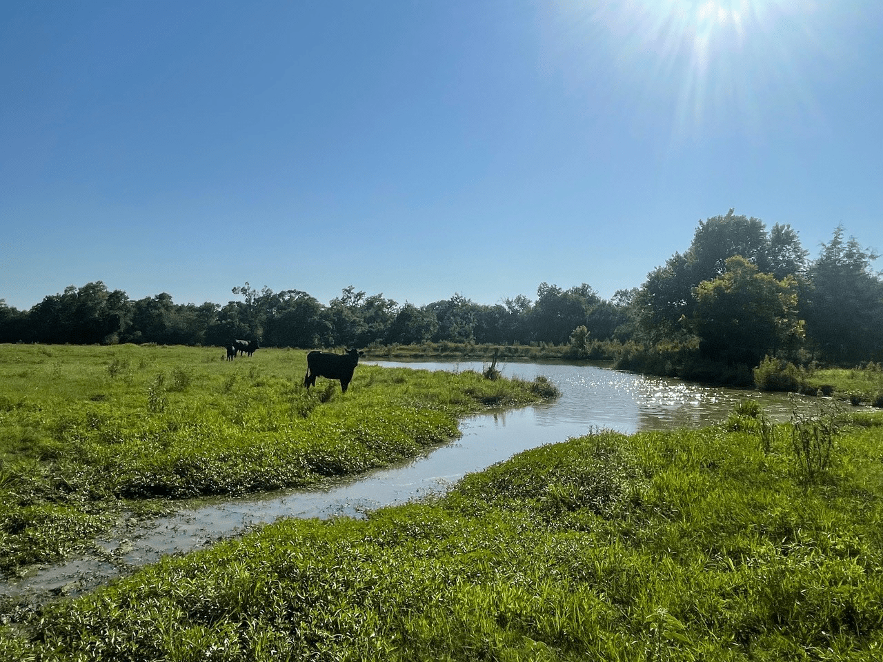 5 Unrestricted Land Tracts From 3.5 Acres to 26 Acres Keeps Your