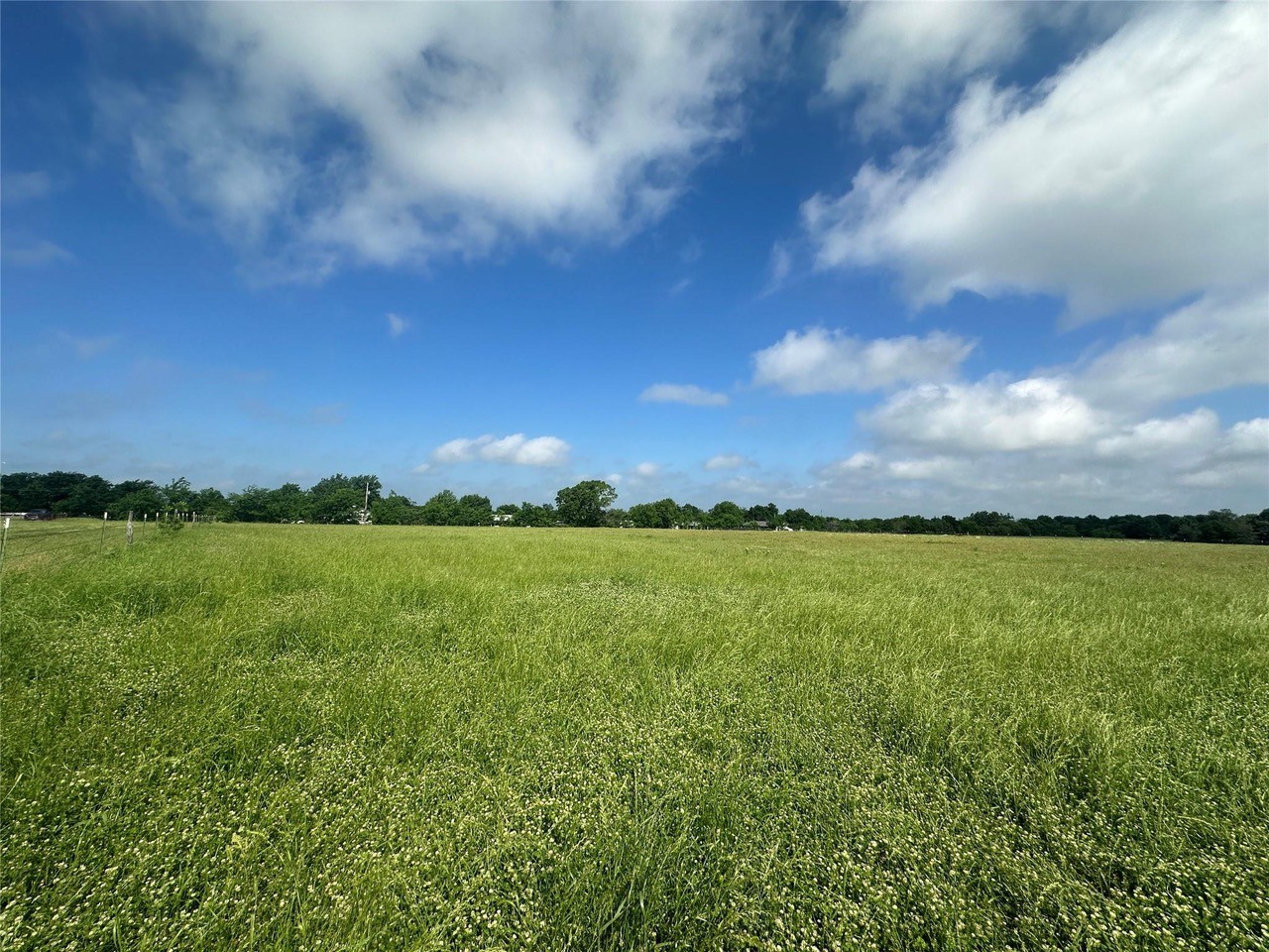 Build a House on one of 3 Lots with Acreage in Rains County Front