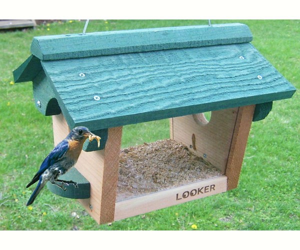 Cedar Bluebird Feeder with Green Top Front Range Birding Company