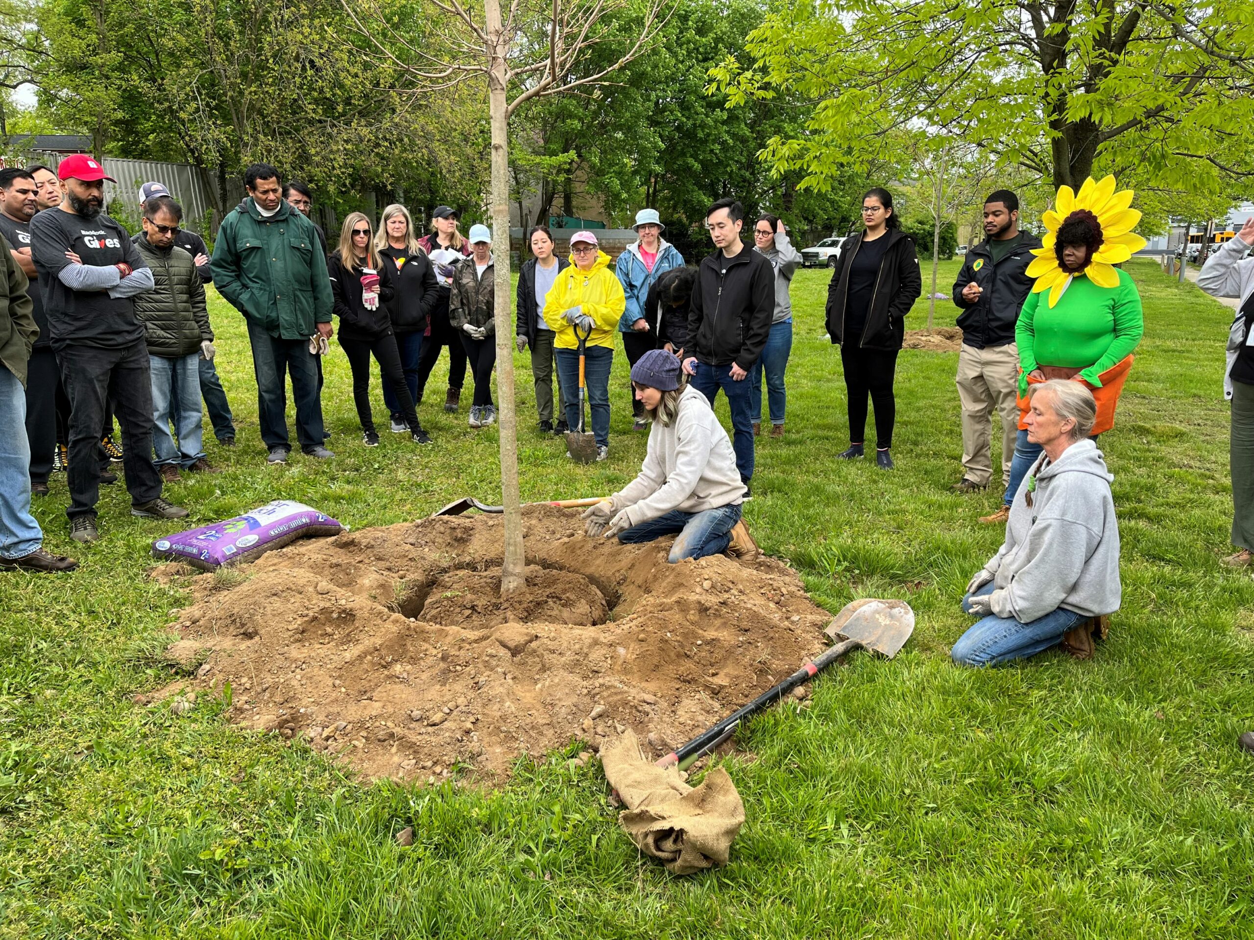 Trees Change Camden, Other Urban Cities in New Jersey Front Runner