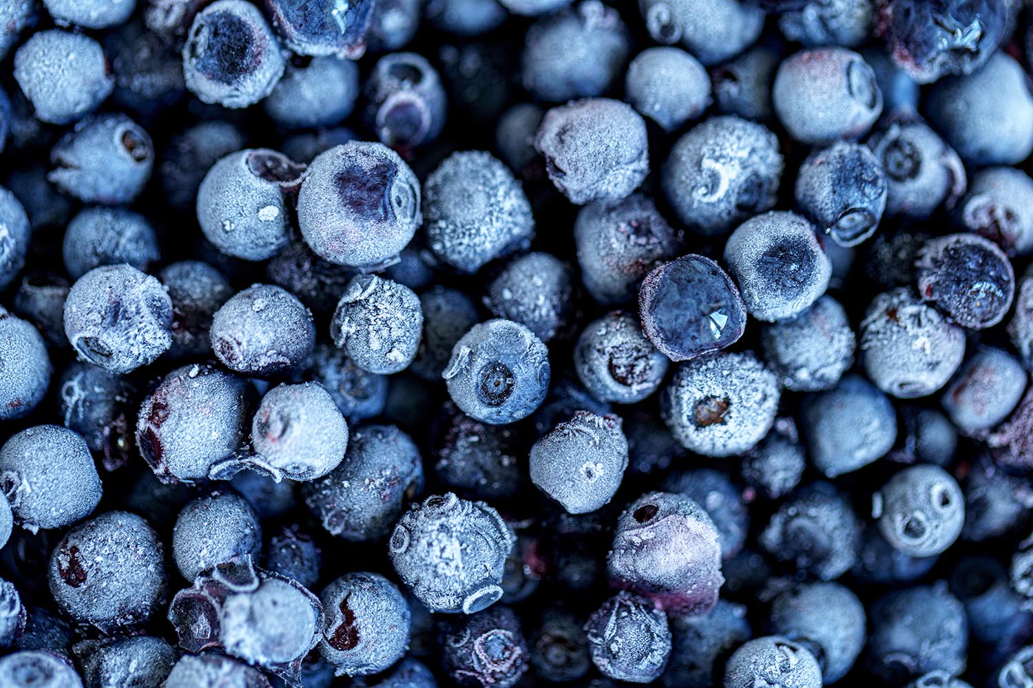 About Frosinn Reliable Frozen Fruit Supplier Wholesale & Industry
