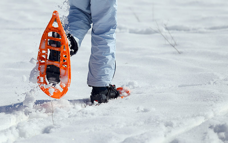 Schneeschuhe Test Die 10 besten Schneeschuhe 2022