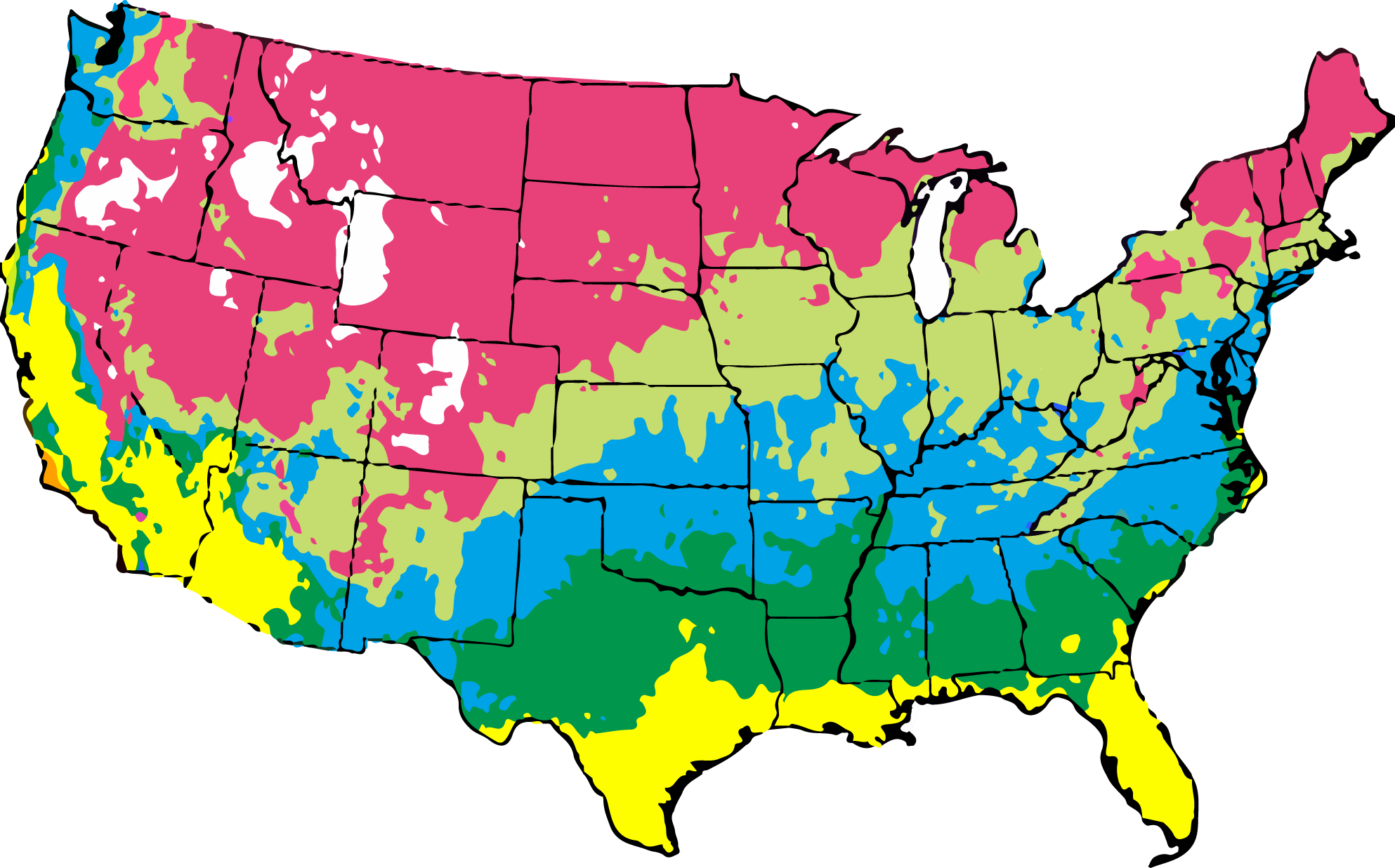 Planting FROSTY Berseem Clover Seeding Rates & More