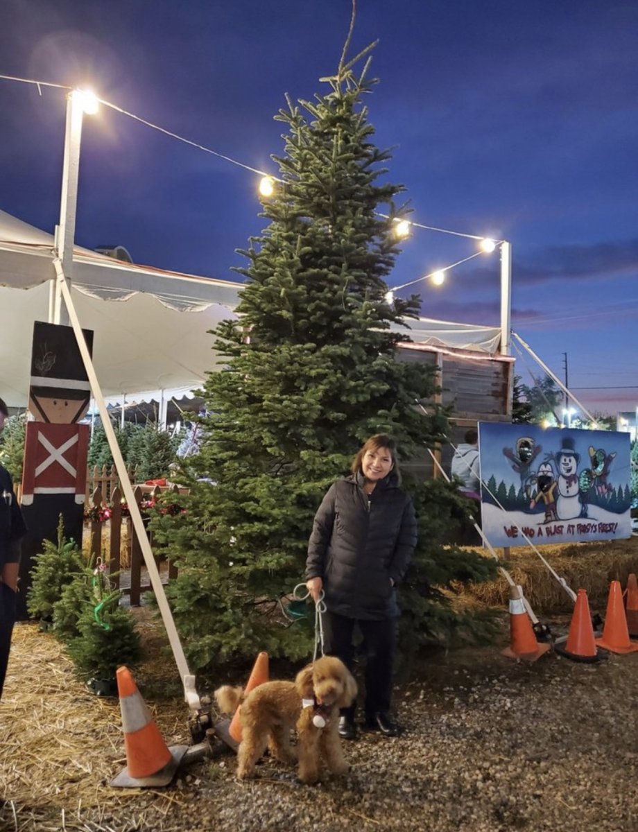 Frosty's Forest Christmas Trees Lots in Yorba Linda, Chino Hills
