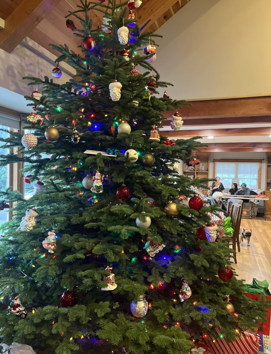 Frosty's Forest Christmas Trees Lots in Yorba Linda, Chino Hills