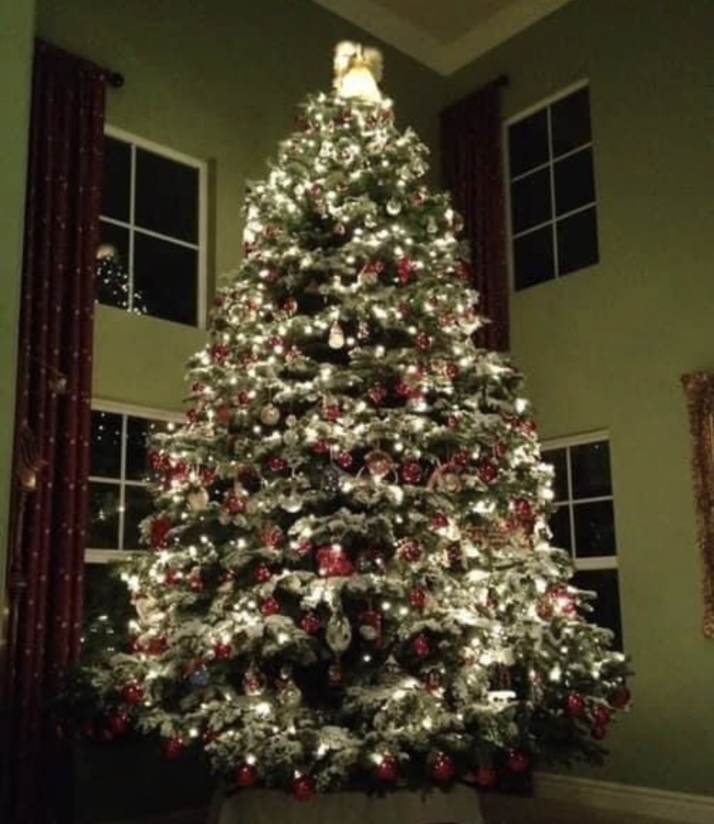 Frosty's Forest Christmas Trees Lots in Yorba Linda, Chino Hills