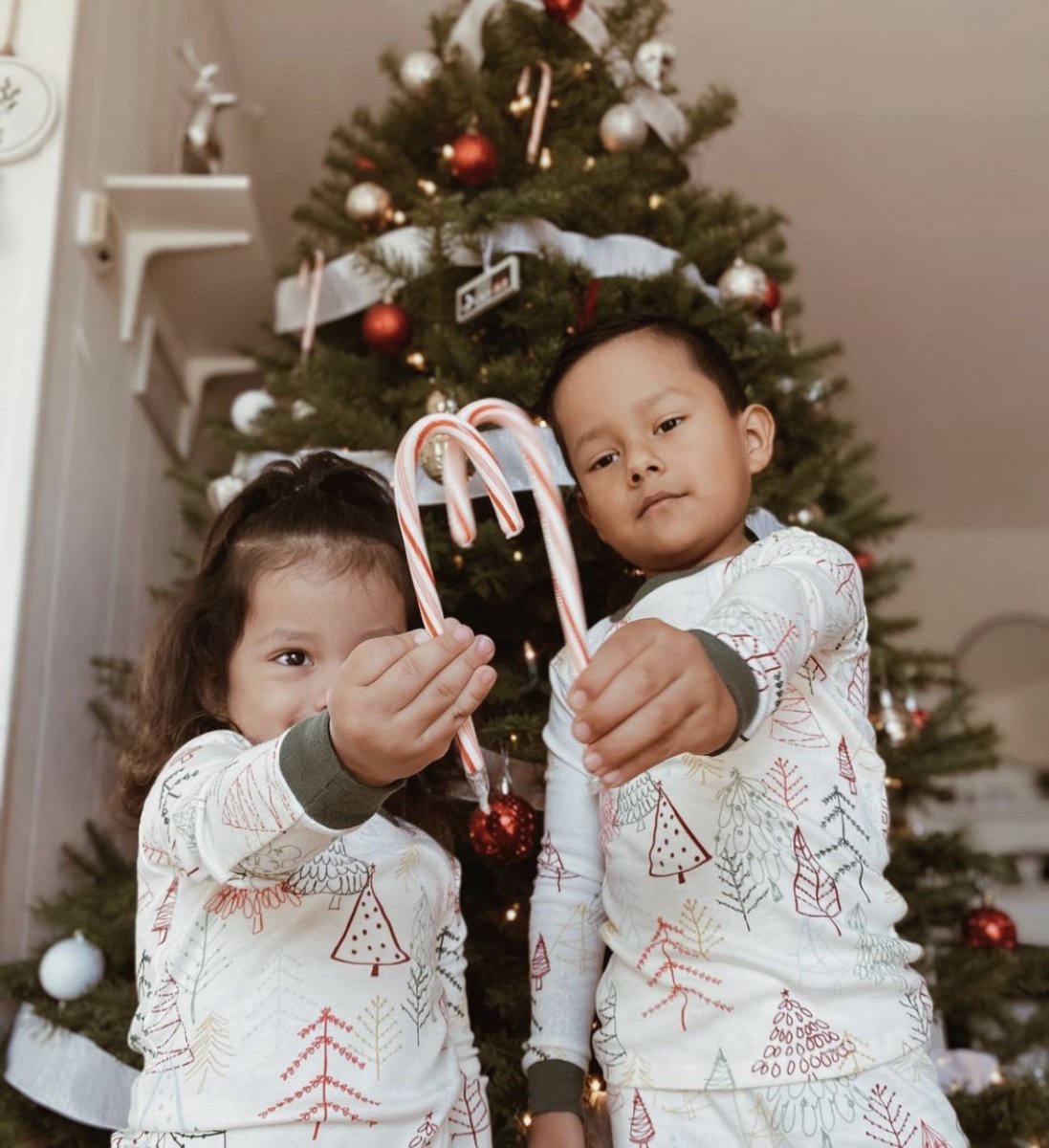 Frosty's Forest Christmas Trees Lots in Yorba Linda, Chino Hills