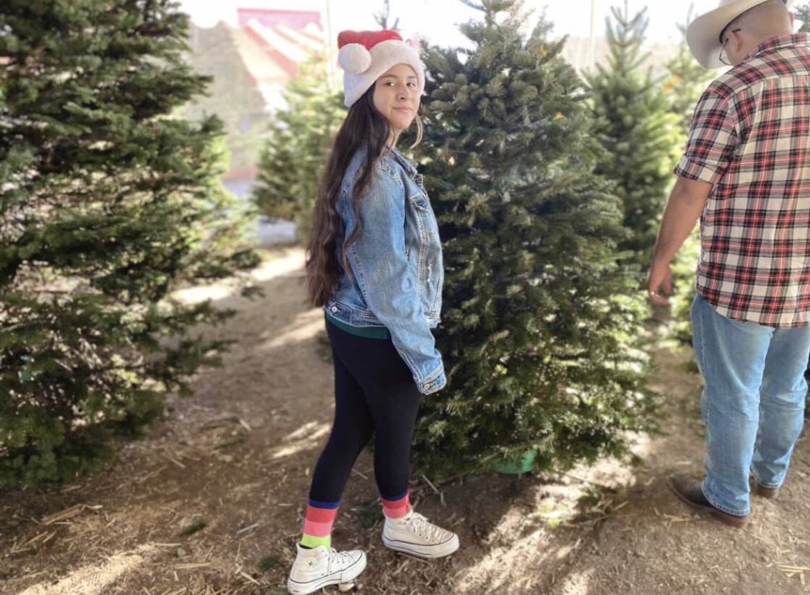 Frosty's Forest Christmas Trees Lots in Yorba Linda, Chino Hills