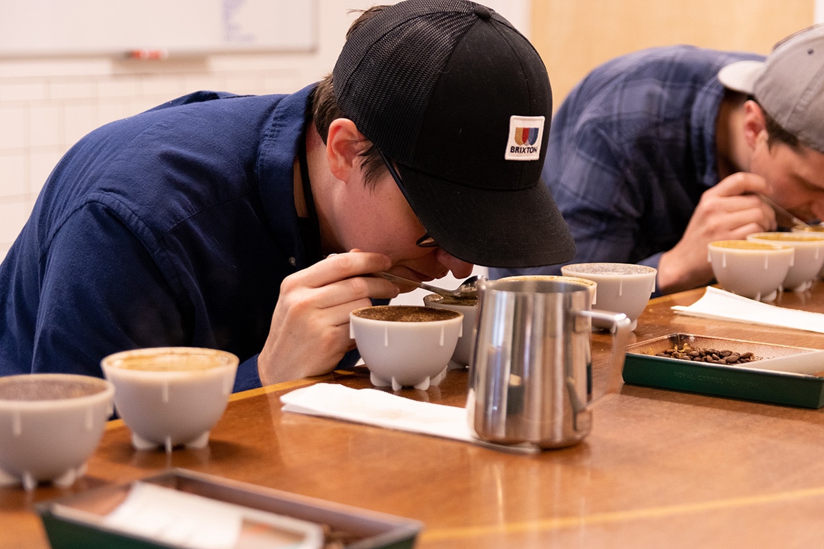 A Beginner's Guide to Coffee Cupping Frothy Monkey
