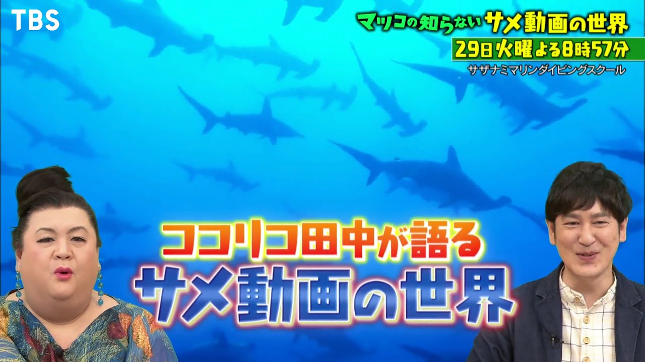 ≪予告≫【マツコの知らない世界】楽しくてお得！ポイ活の世界 - 華麗なる加齢ライフ ６月29日放送予告「マツコの知らない 冷凍・チルドピザの世界」！！！ | Frozenfoodpress