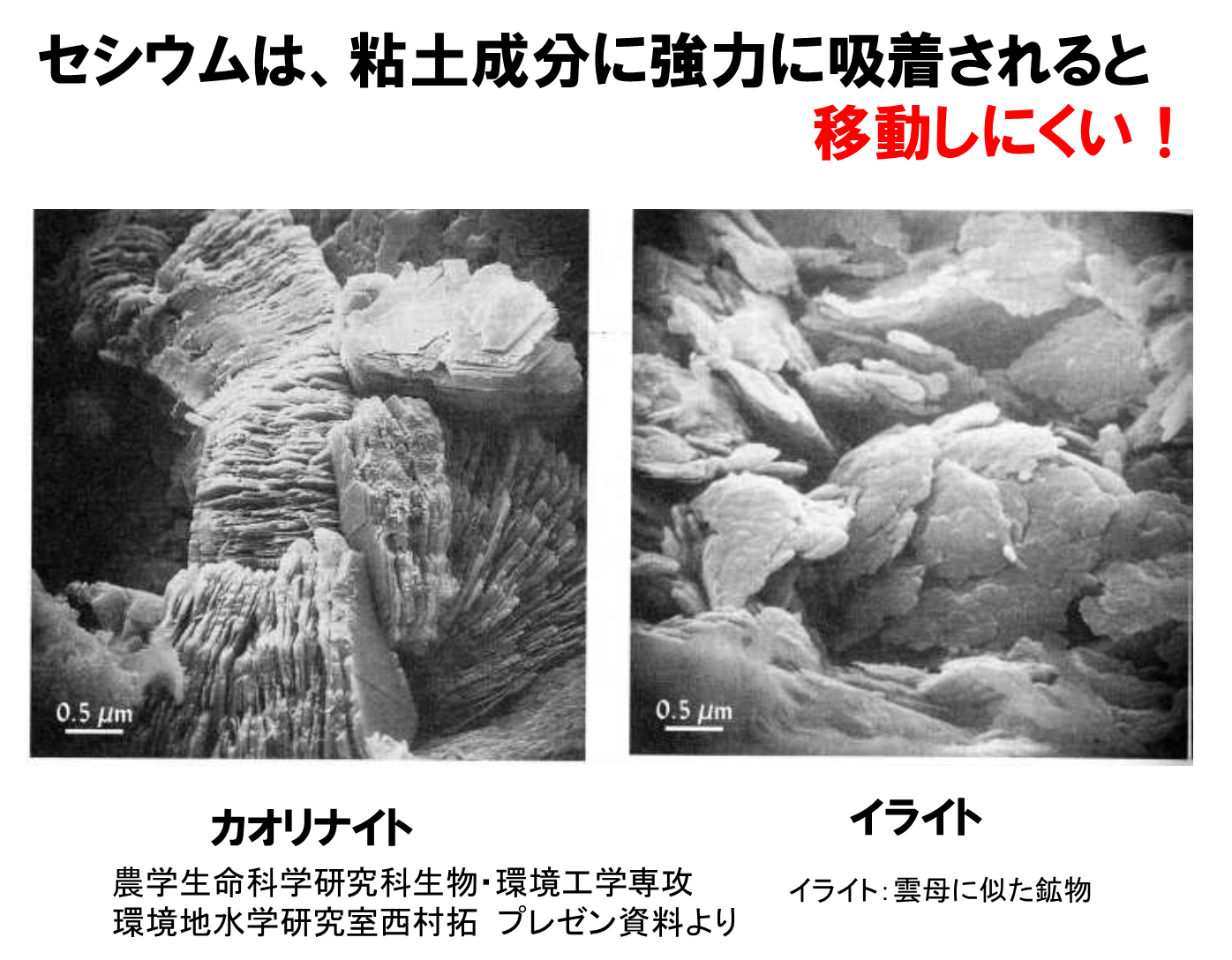 FRSレポート⑦ 「 」が守った!なぜ福島の農作物は汚染されないのか|ブログ|福島リカバリーソリューションズ|福島県福島市