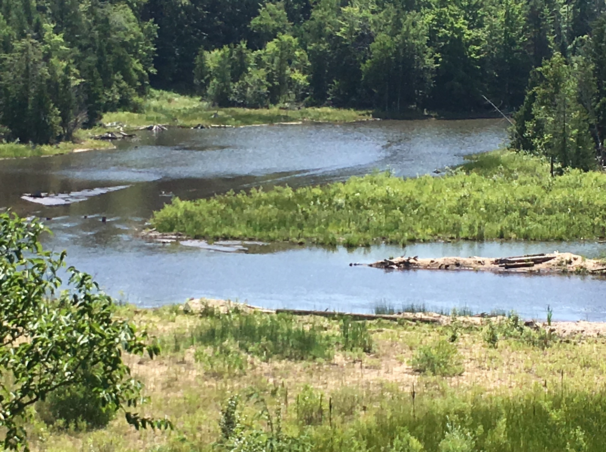 The Boardman River frsnaturalist