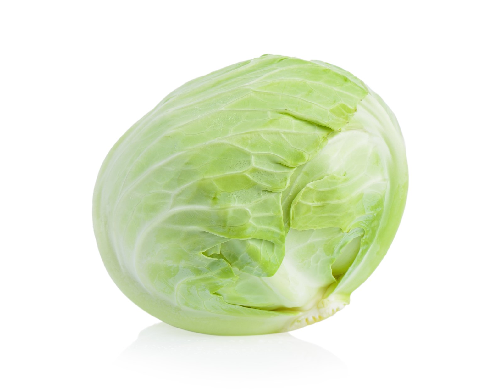 White cabbage Fresh Fruits and Vegetables Adam Fruits