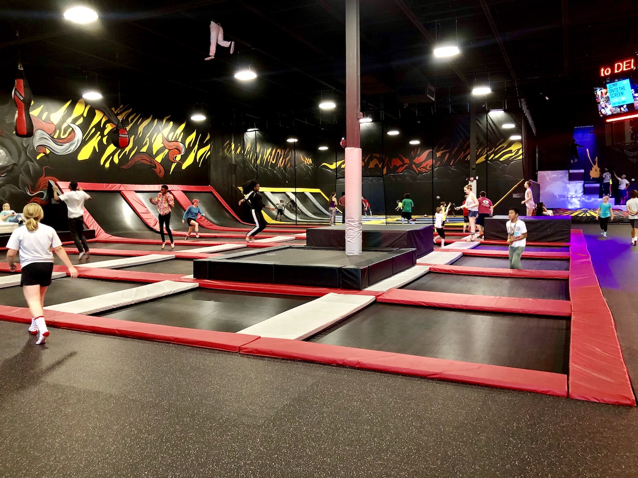 Trampoline Fun In Orlando, FL Frugal For Luxury