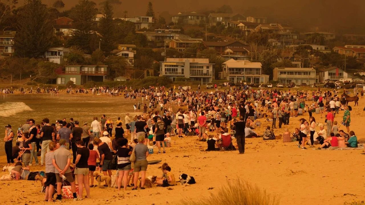 Australian Bushfires Here's What You Can Do To Help