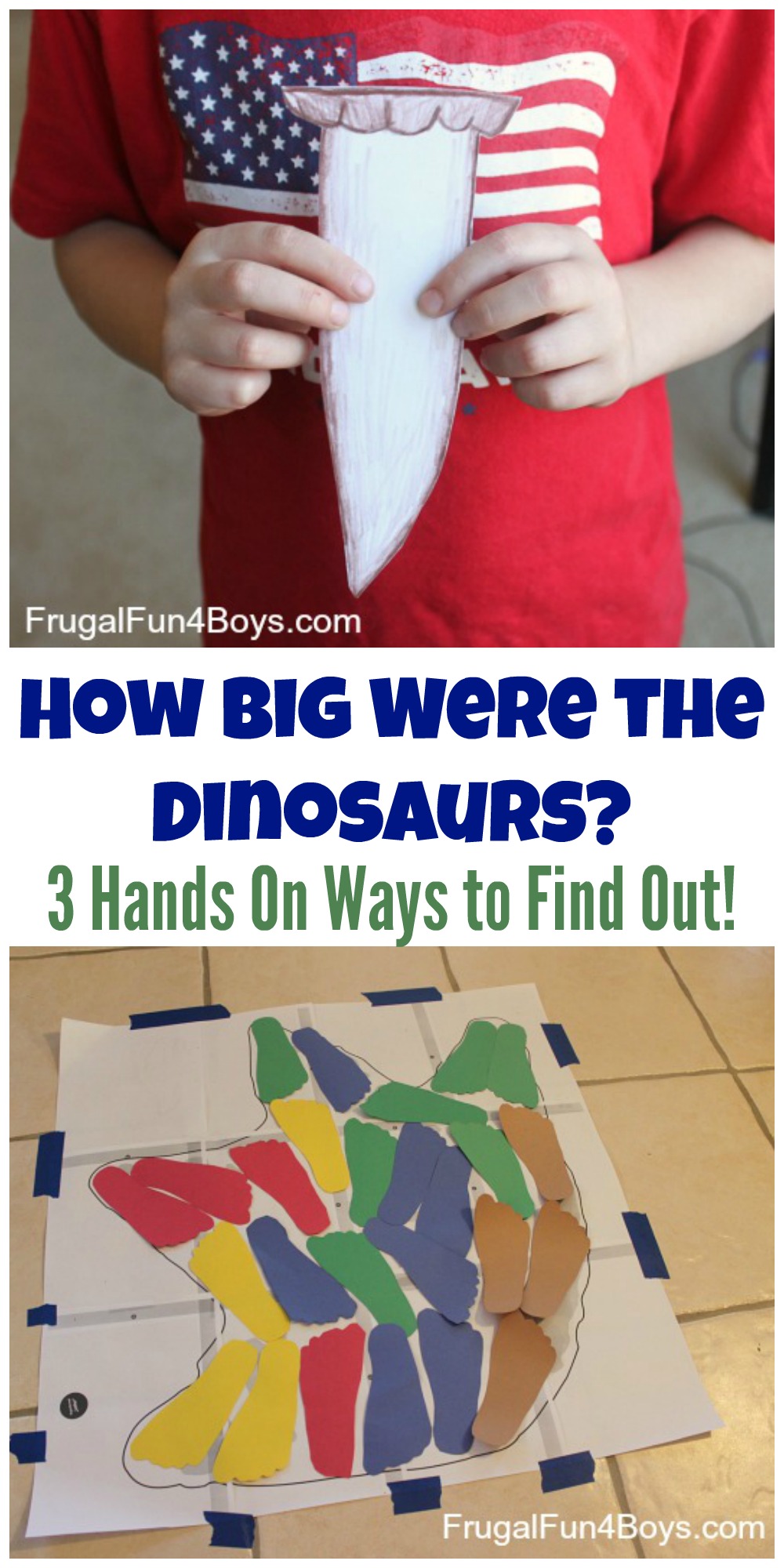 How Big Were the Dinosaurs? Three Handson Ways to Find Out Frugal