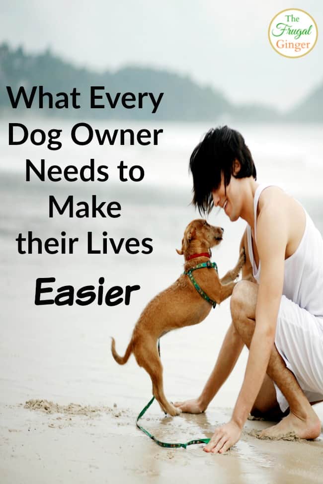 What Every Dog Owner Needs to Make their Life Easier
